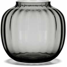 Primula Vas Smoke 12.5 cm