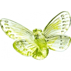 Papilio Green