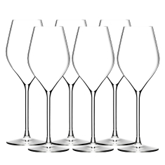 Absolus Champagneglas 22cl, 6-pack