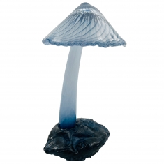 Wonderland Blå, Unik