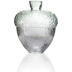 Robur vas klar H 11cm