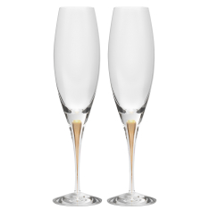 Intermezzo Guld Champagneglas 26cl, 2-pack