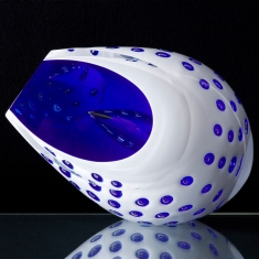 Graal Discovery, Hvid