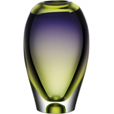 Vision Vas Lila/Grön