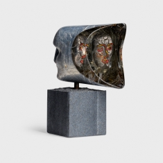 Janus V Ltd 100 stk.