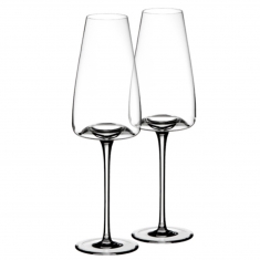 Vision Champagneglas Rich, 2-pack