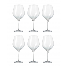 Passion Connoisseur Light Vinglas 65cl, 6-pack