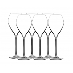 Premium Champagneglas 23cl, 6-pack