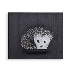 Miniatyr Igelkott