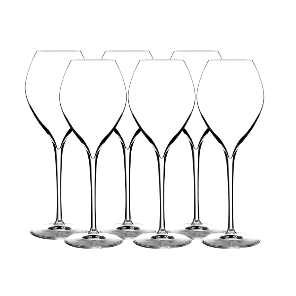 Signature Champagneglas Premium 28,5cl, 6-pack - Lehmann
