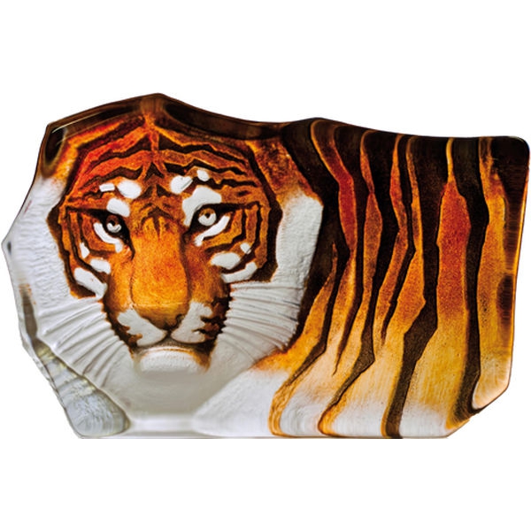 Tiger Stor - Målerås