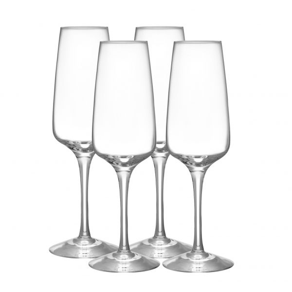 Pulse Champagneglas 28cl, 4-pack - Orrefors