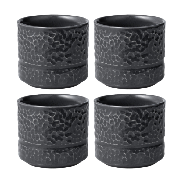 Servisen C Tumblerglas Antracit 26cl, 4-pack - Vargen & Thor