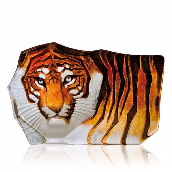 Tiger, Liten - Målerås