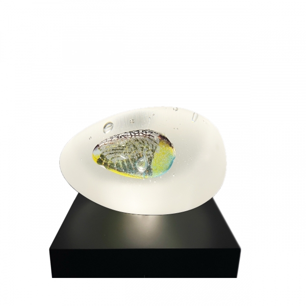 Egg of life II - Vas Vitreum