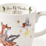 Star of Wonder, 40 cl