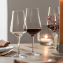 Bouquet Red Wine Glass 49cl, 2-pack
