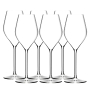 Absolus Champagneglas 22cl, 6-pak