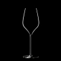 M5 Champagne Glass 30cl, 6-pack