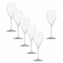 Sontell Champagne Glass 29cl, 6-pack