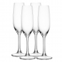 Winelovers Champagneglas 19cl, 4-pack