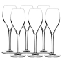 Opale Champagneglas 16cl, 6-pack