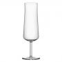 Informal Champagne Glass 22cl, 2-pack