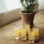 Saba Shot Glass 6cl, 6-pack