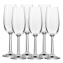 Pure Champagnerglas 17,5 cl, 6er-Packung
