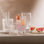 Fave Shotglas 6cl, 4-pack