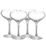 More Champagneglas Coupe 21cl, 4-pack