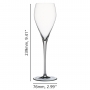 Party Champagneglas 25cl, 6-pack