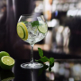 Divine Gin Glass 79cl, 6-pack