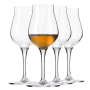 Avant-Garde Whiskyglas 12,5cl, 4-pack