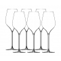 M5 Champagne Glass 30cl, 6-pack