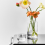 Nutid Tumbler Glas 38cl, 4-pak