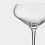 More Champagneglas Coupe 21cl, 4-pack