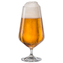 Sontell Beer Glass 55cl, 6-pack