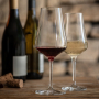 Bouquet Red Wine Glass 49cl, 2-pack