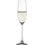 Salute Champagneglas 21cl, 4-pack