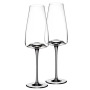 Vision Champagneglas Rich, 2-pack