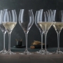 Party Champagne Glass 45cl, 6-pack