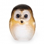 Owlet, Small