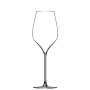 M5 Champagne Glass 30cl, 6-pack