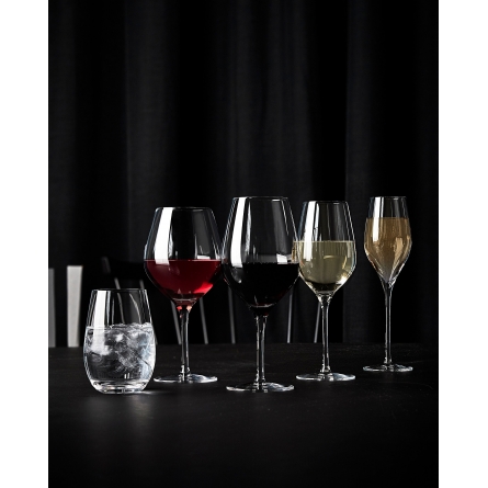 Passion Wine glass Connoisseur Dark 64,5cl, 6-pack