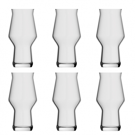 Craft Beer Glass Master One 19,5 cl 6-pack