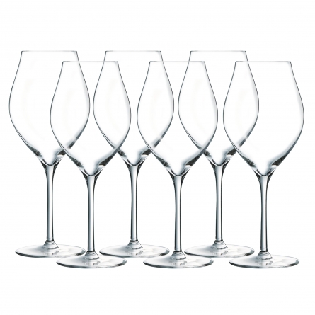 Exaltation White Wine Glass 38cl, 6-pack