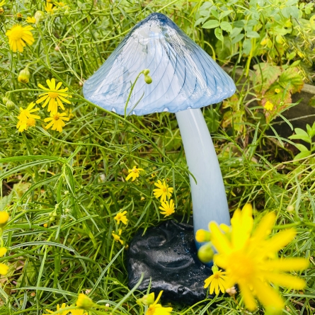 Wonderland Blå, Unik