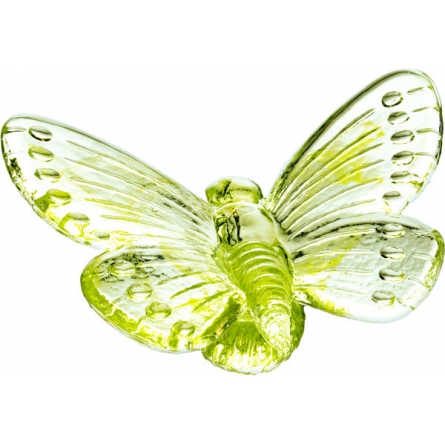 Papilio Green