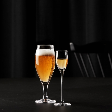 Passion Beer Glass Connoisseur 40cl, 2-pack